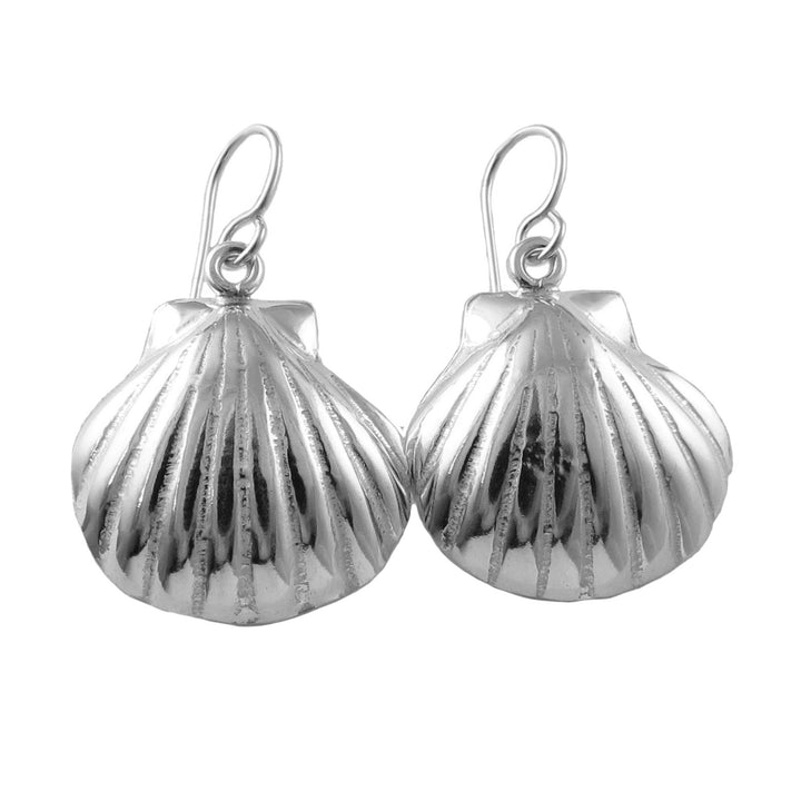 Silver Sea Shell Earrings