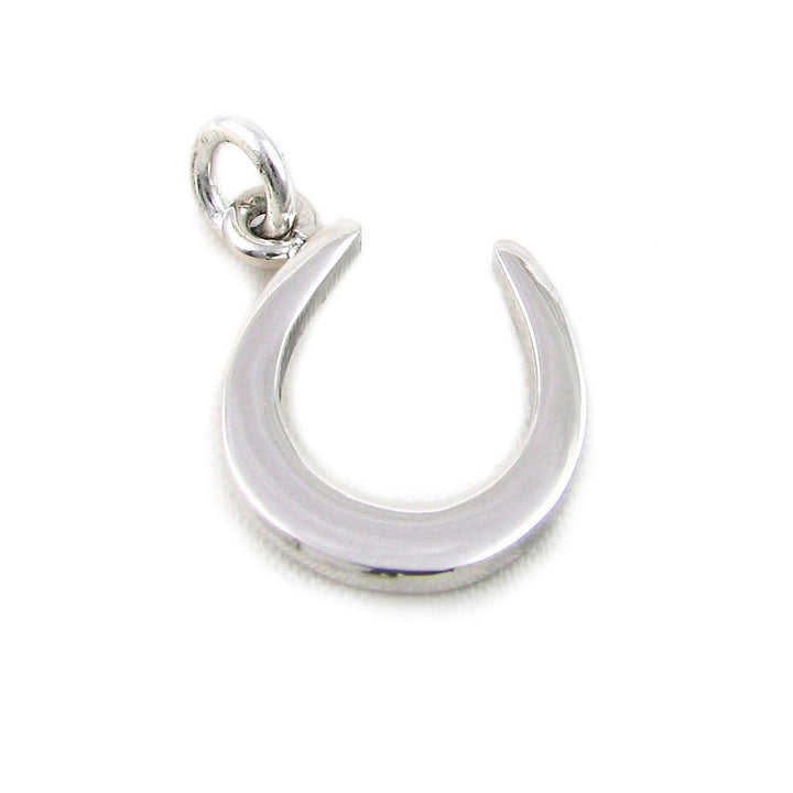 Horse Shoe Necklace in 925 Silver