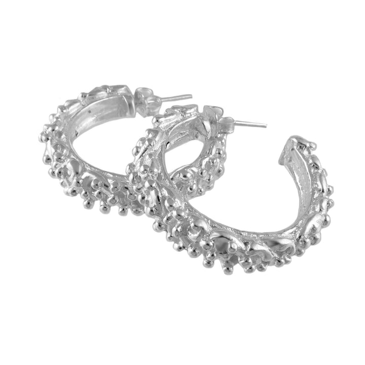 Silver Hoop Earrings for Women