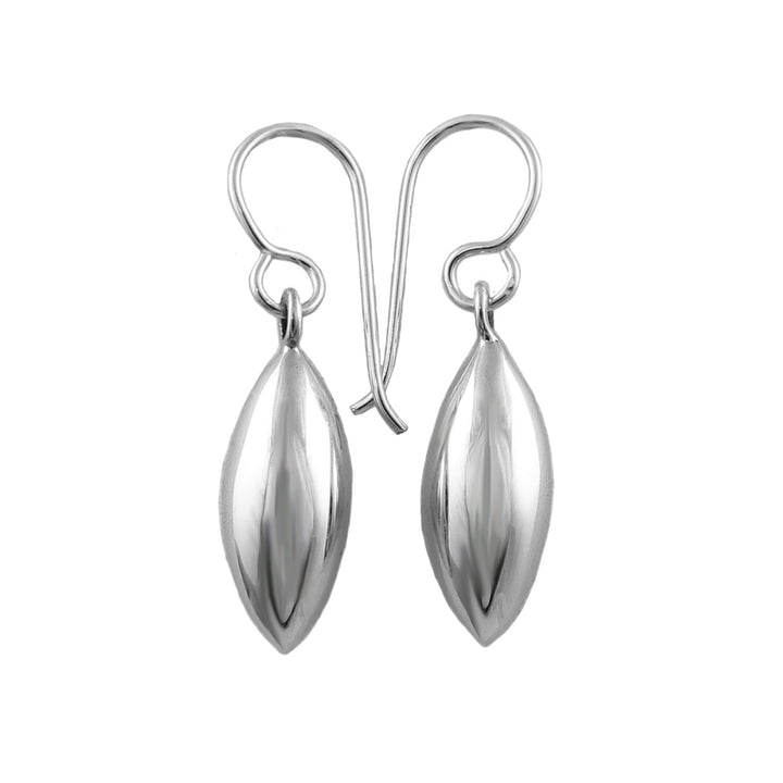 Long Silver Drop Earrings