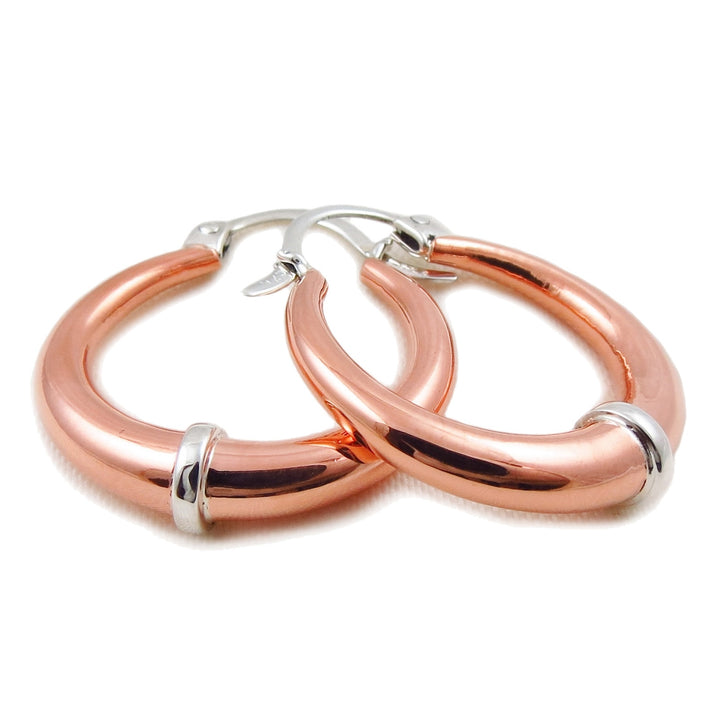 Two Tone Creole Duo Hoop Earrings