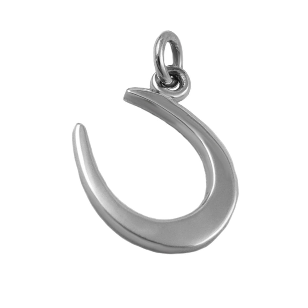 A large silver horse shoe pendant on a white background. 