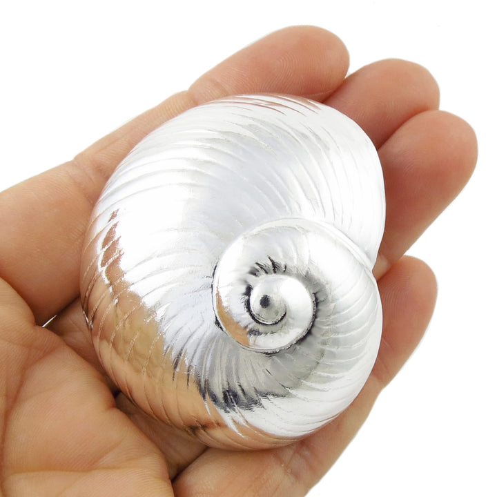 Large Sterling Silver Nautilus Seashell Pendant Necklace