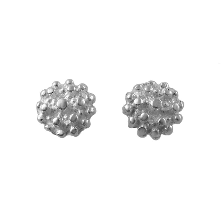 Flower 925 Silver Stud Earrings