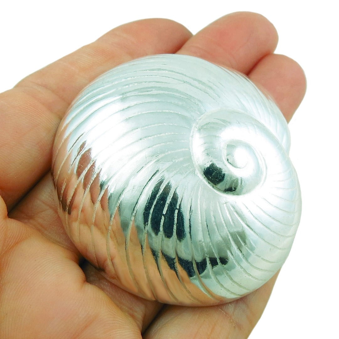 Large Sterling Silver Nautilus Seashell Pendant Necklace